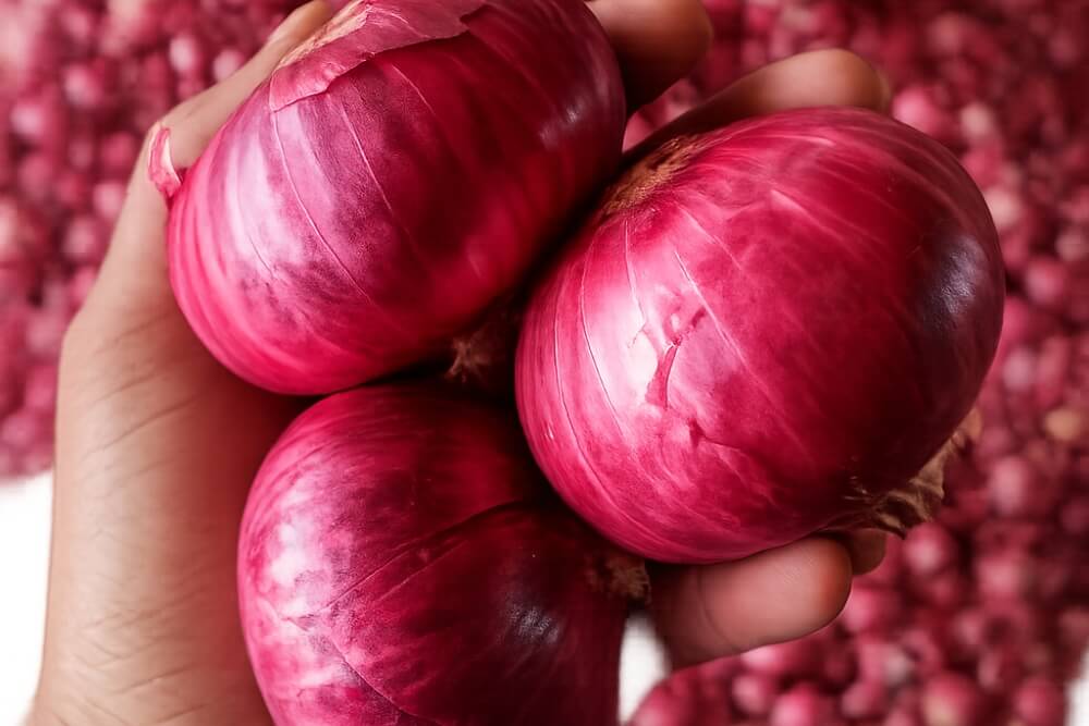 Premium Red Onion
